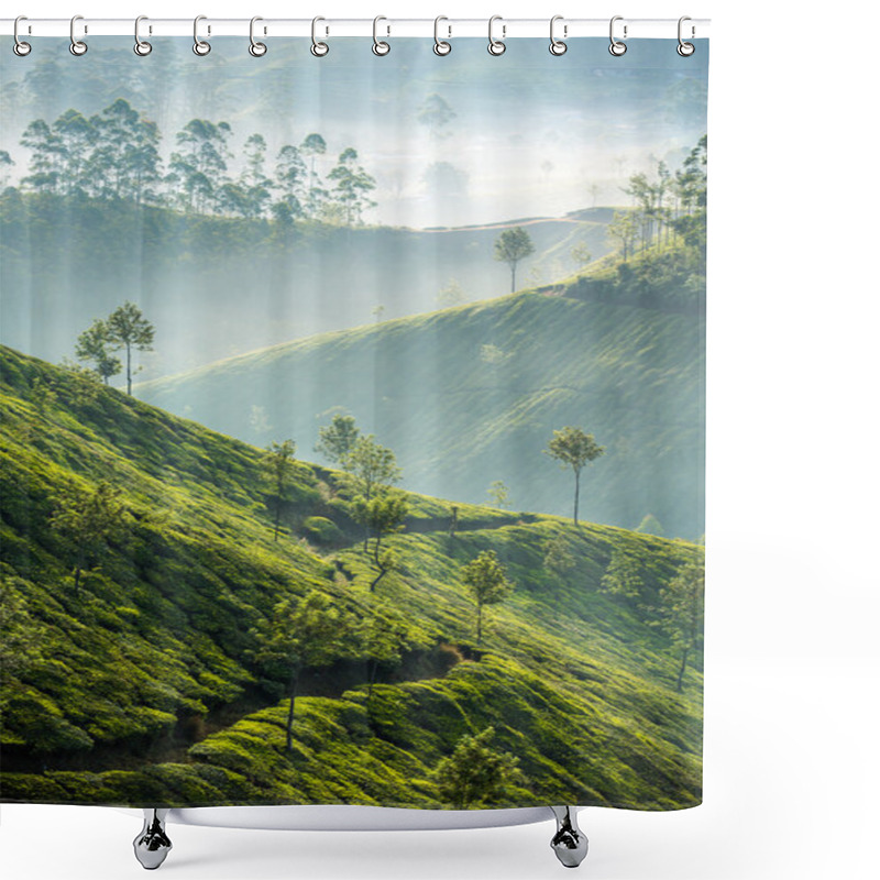 Personality  Tea Plantations In Munnar, India Shower Curtains