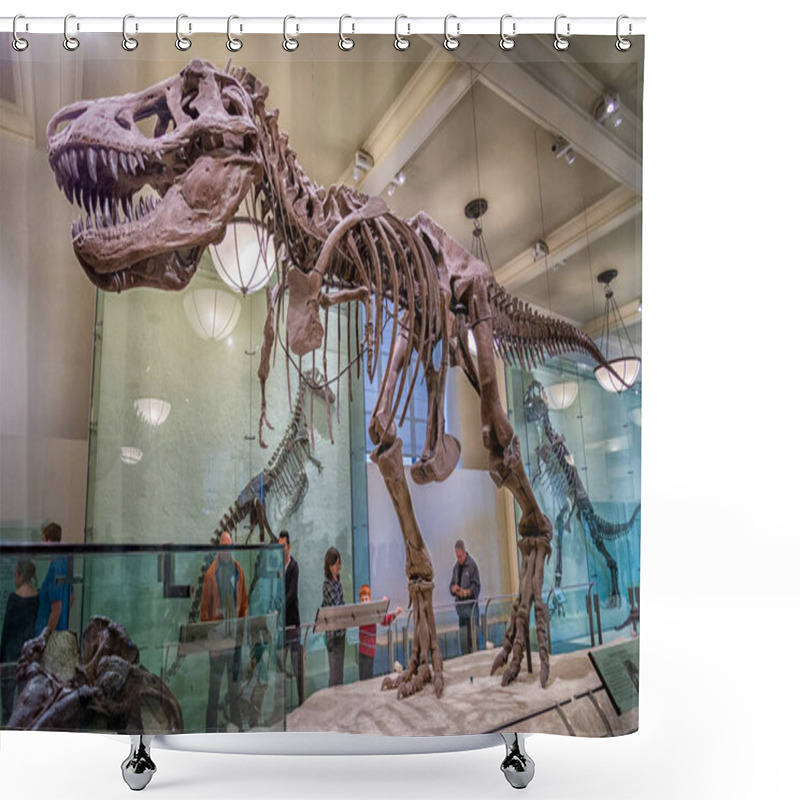 Personality  A Dinosaur Skeleton, Museum Of Natural History, Manhattan, New York, USA Shower Curtains