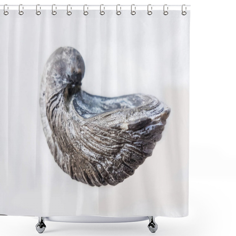 Personality  Jurassic Fossil Oyster Shower Curtains