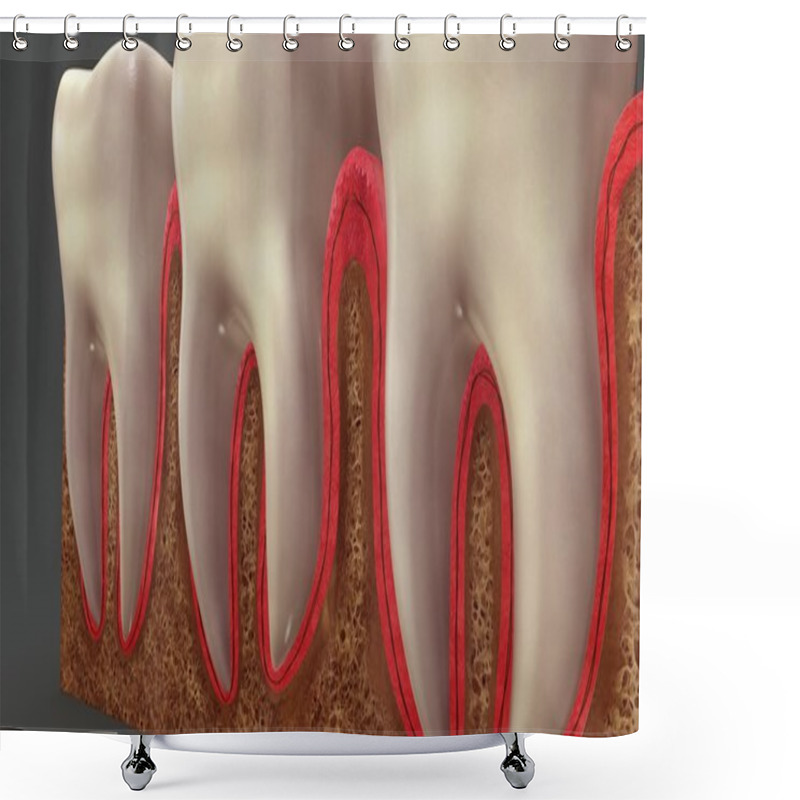 Personality  Human Teeth Anatomy  Shower Curtains