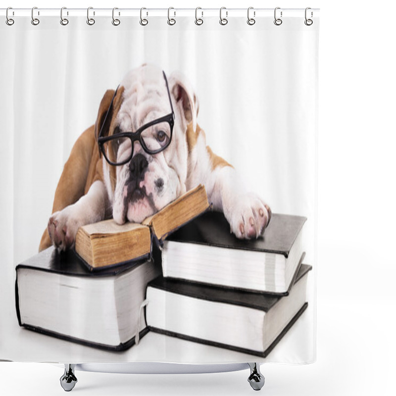 Personality  Group Dog Shower Curtains