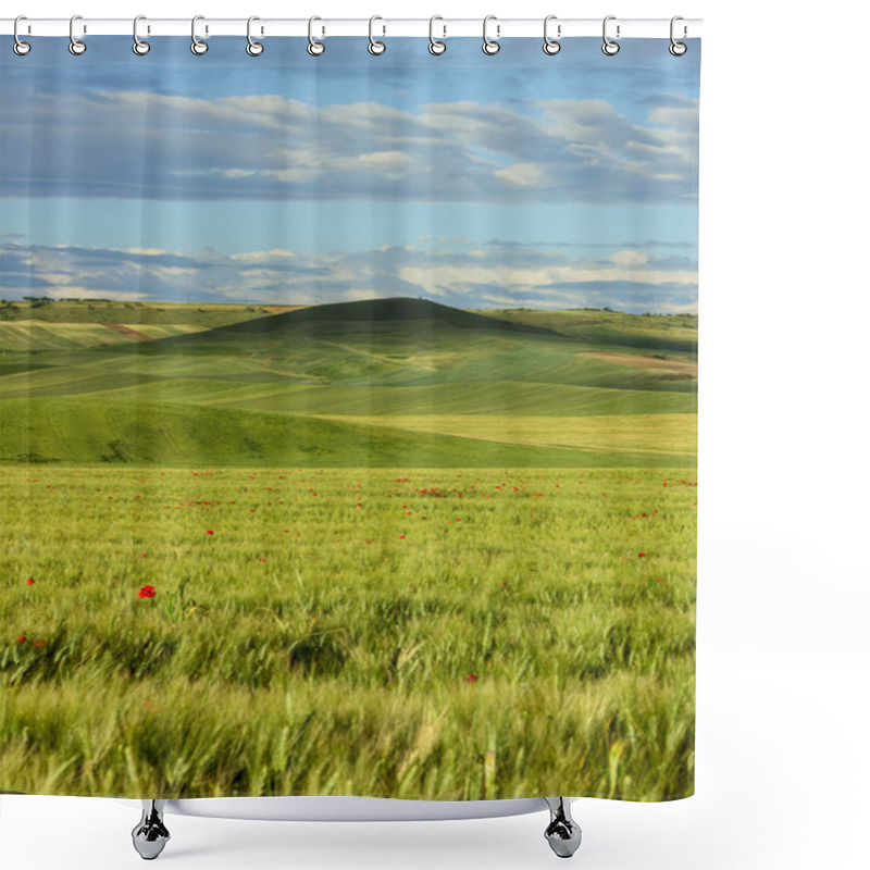 Personality  Between Apulia And Basilicata.Hilly Landscape With Cornfields.ITALY Shower Curtains