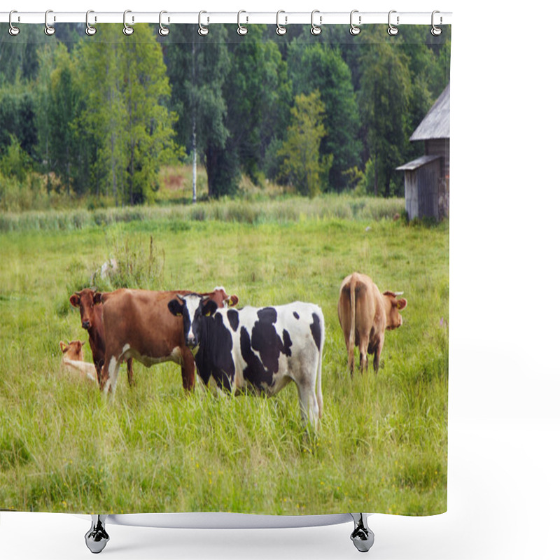 Personality  Cows Shower Curtains