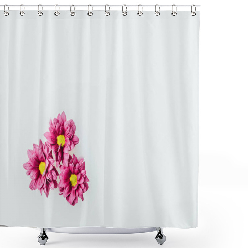 Personality  Top View Of Beautiful Pink Chrysanthemum Flowers In Milk Backdrop Shower Curtains