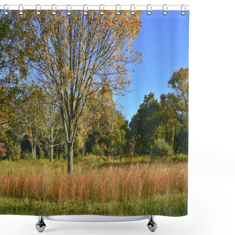 Personality  Morning Autumn Field Shower Curtains