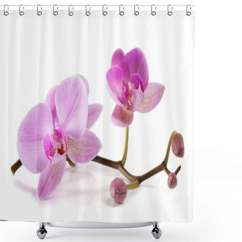 Personality  Orchid Flowers. Spa. Beautiful Floral Background Shower Curtains