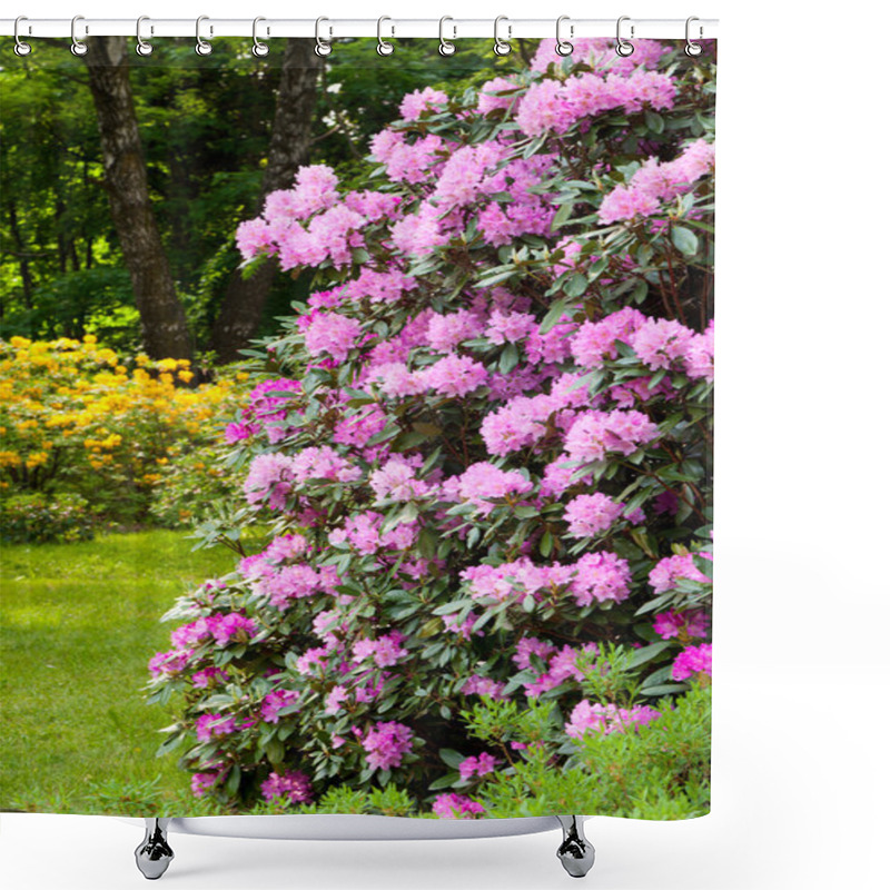 Personality  Rhododendron Bushes In Summer Garden Shower Curtains