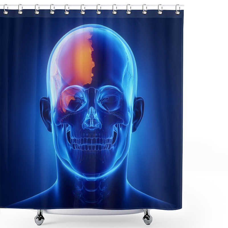 Personality  Right Parietal Bone Anatomy Shower Curtains