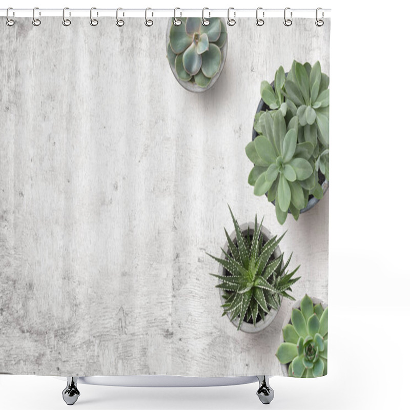 Personality  Minimalist Background With Various Succulents On A Painted White Wooden Desk, Top View, Copyspace Shower Curtains