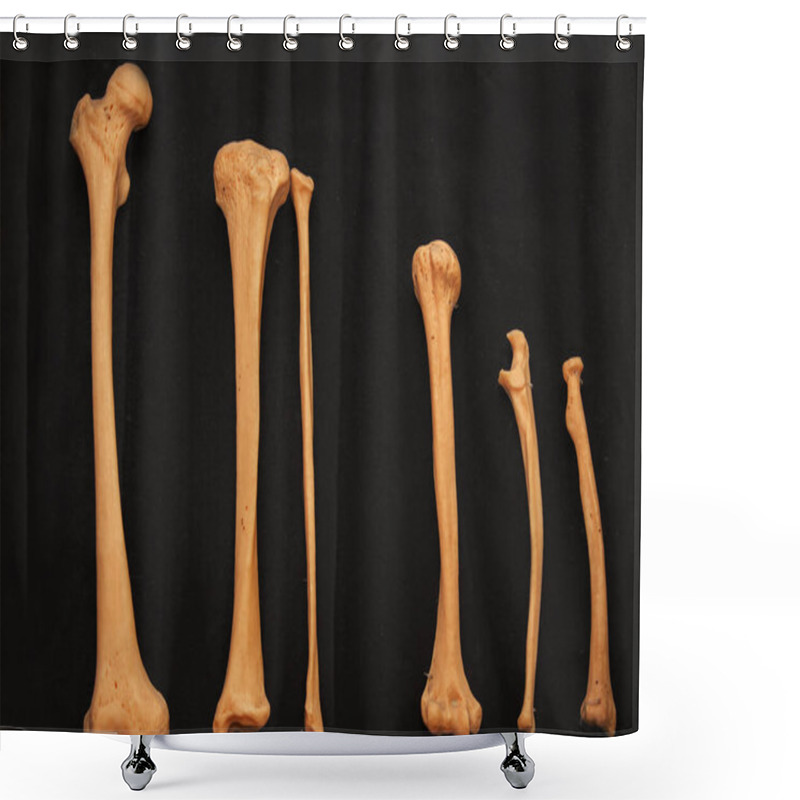 Personality  Bones Of The Human Skeleton Close-up On A Black Background As A Teaching Medical Material For Students. Shower Curtains