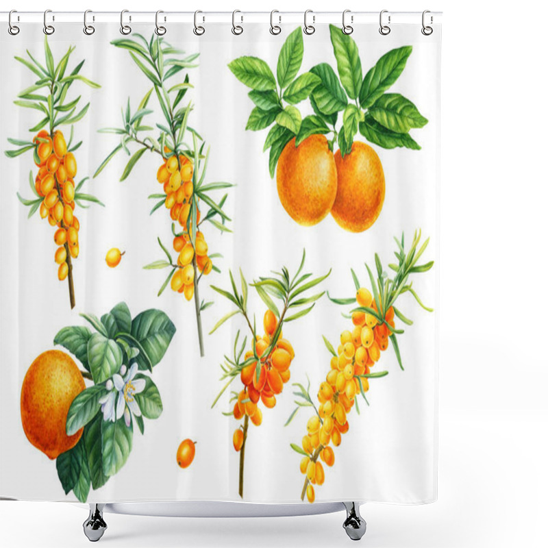 Personality  Fruits And Berries, Orange. Mandarin, Sea Buckthorn On An Isolated White Background, Watercolor Illustration, Botanical  Shower Curtains