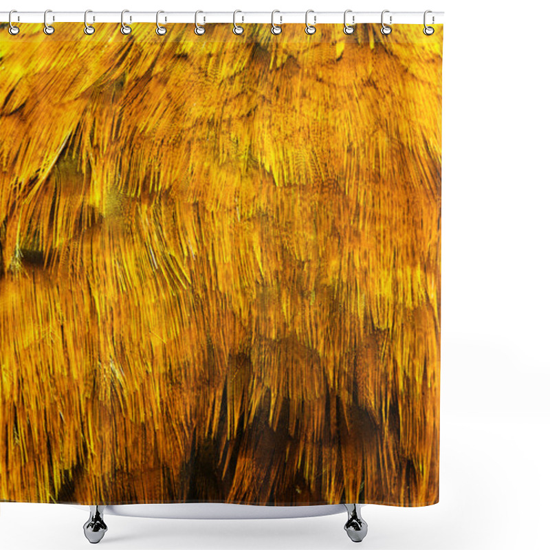 Personality  Bright Brown Feather Shower Curtains