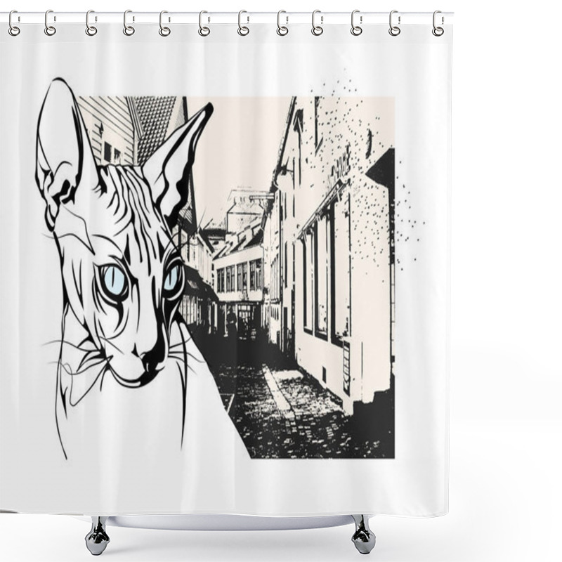 Personality  Sphinx Cat In The Old European City Shower Curtains