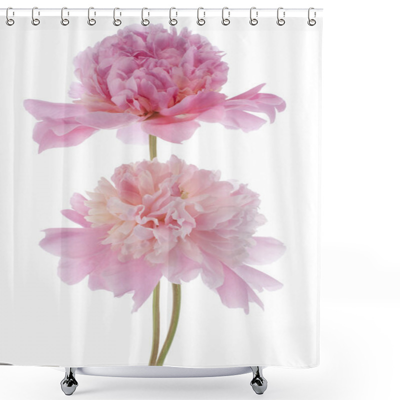 Personality  Peony Flowers Shower Curtains