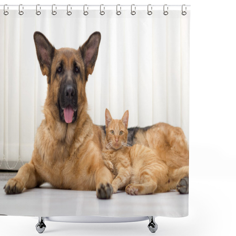 Personality  German Shepherd Dog And Cat Together Cat And Dog Together Lying Shower Curtains