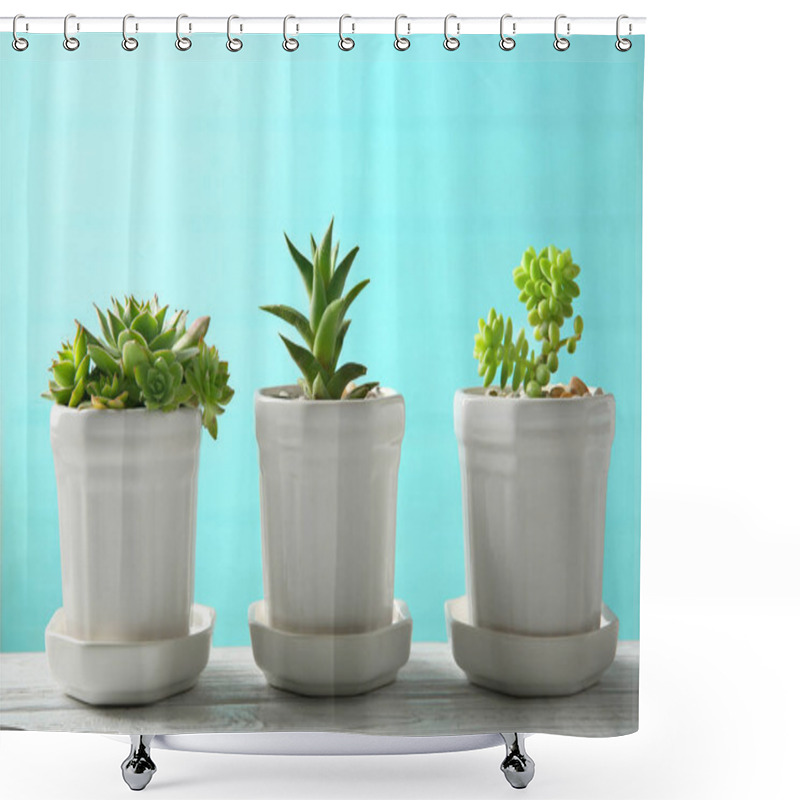 Personality  Pots With Succulents On Table  Shower Curtains