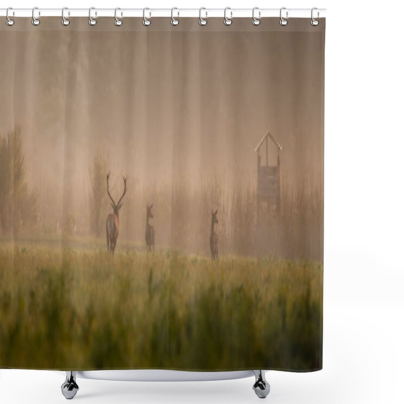 Personality  Red Deer Following Hinds Shower Curtains