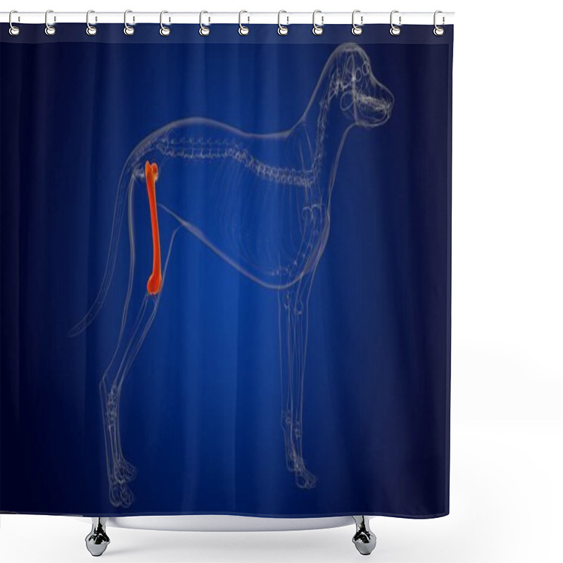 Personality  Femur Bones Dog Skeleton Anatomy For Medical Concept 3D Illustration Shower Curtains