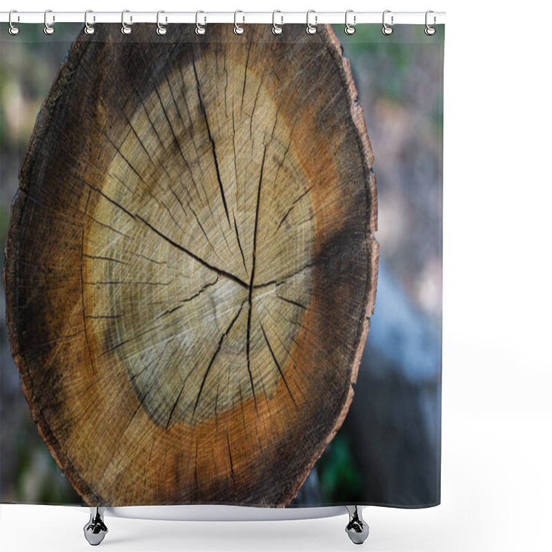 Personality  Top View Of Cut Wooden Log With Cracks Shower Curtains