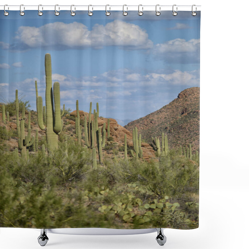 Personality  Grand Canyon Image Shower Curtains