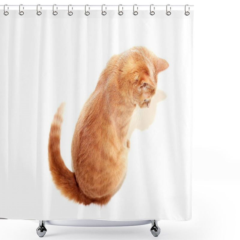 Personality  The Red Cat Is Sitting Looking In Front Of Him Sideways To The Camera Shower Curtains