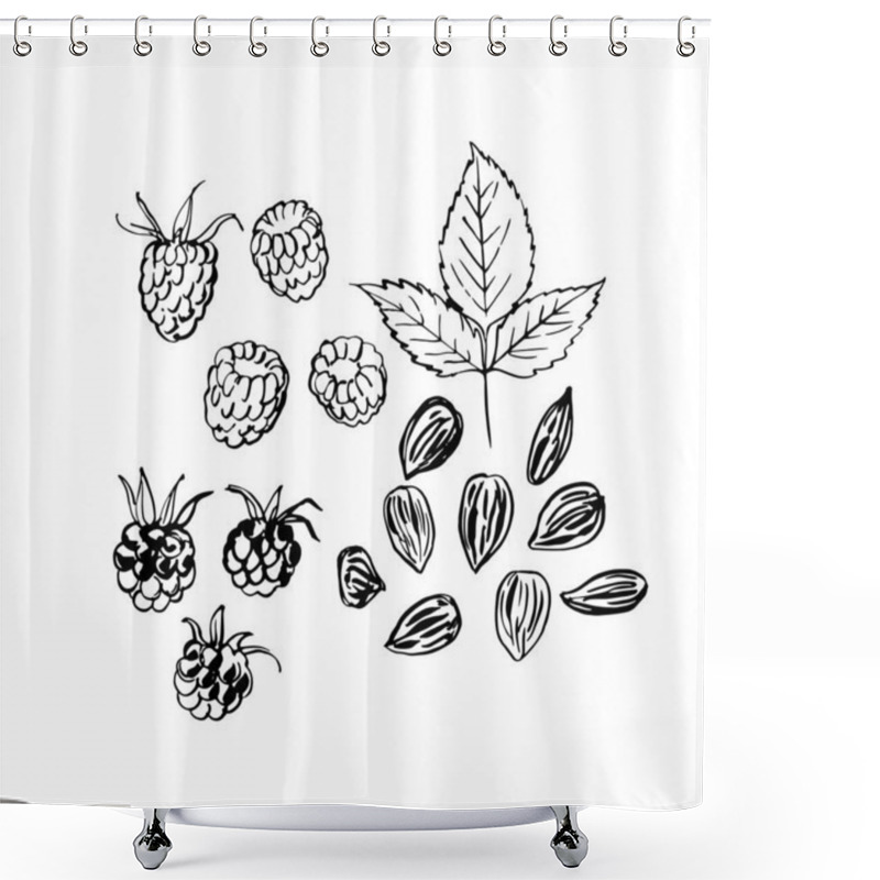 Personality  Berries. Raspberries, Blackberries, Almonds. Ink Sketch Of Food By Line On White Background. Shower Curtains