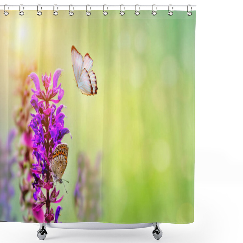 Personality  Wild Flowers Of Clover And Butterfly In A Meadow In Nature Shower Curtains