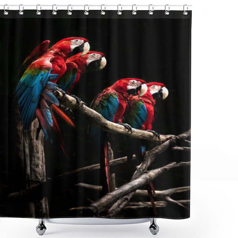 Personality  Scarlet Macaw  Beautiful Bird Isolated On Branch With Black Background Shower Curtains