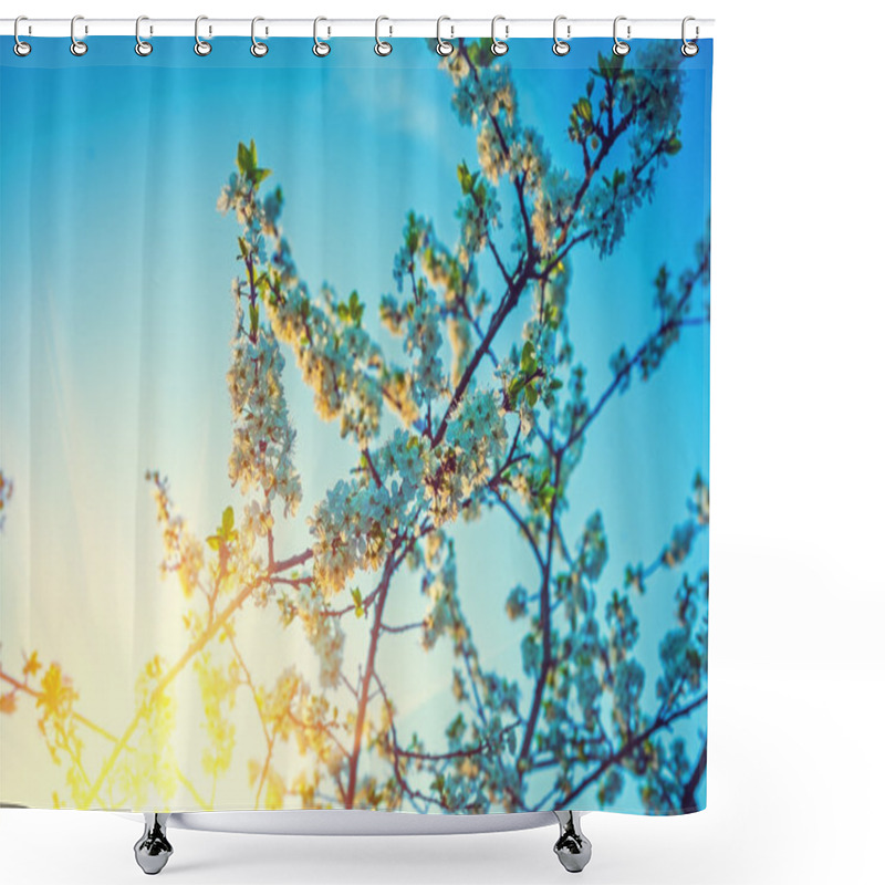 Personality  Blossoming Cherry Tree Shower Curtains