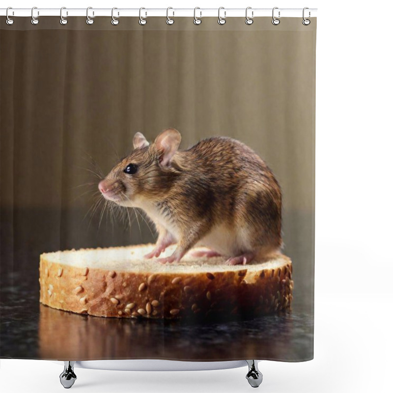 Personality  A Closeup Shot Of A Cute Mouse With A Bread On It On A Gray Background Shower Curtains