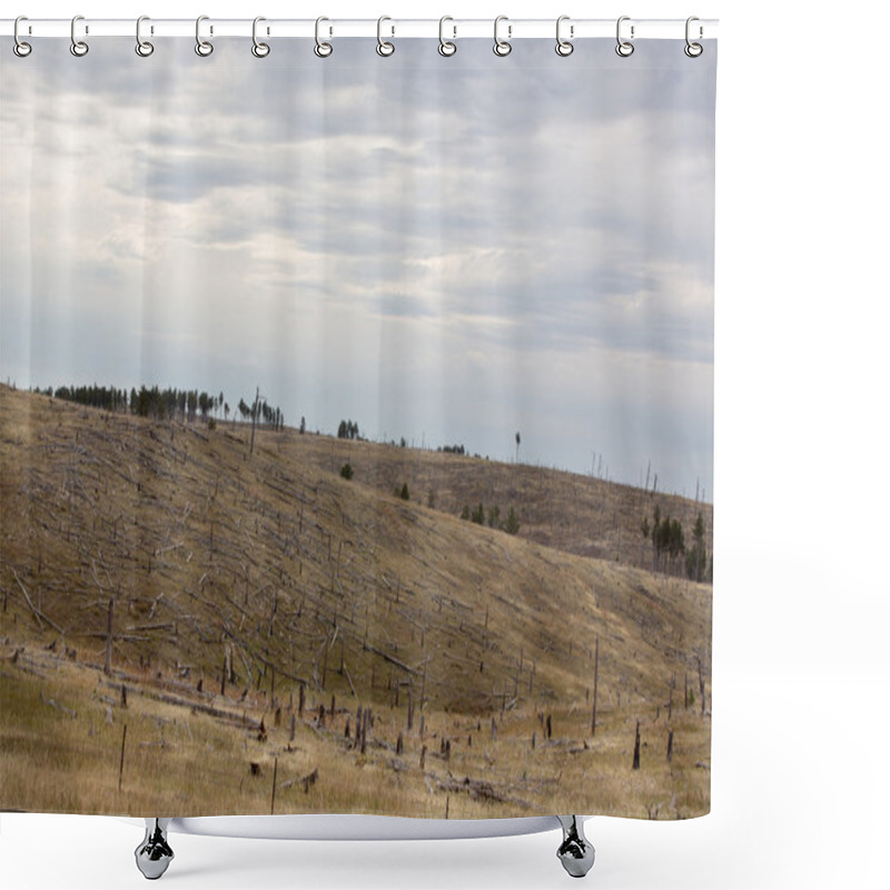 Personality  Deforested Hillside With Remnants Of Felled Trees Shower Curtains