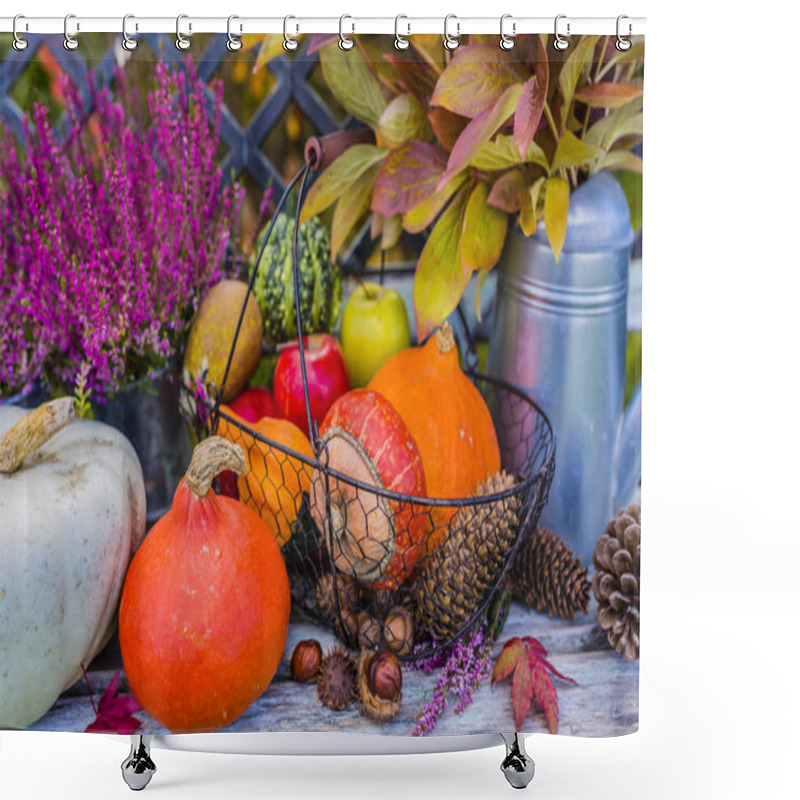 Personality  Pumpkins And Autumn Harvest In The Garden. Shower Curtains