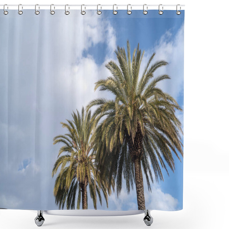 Personality  Palm Trees Shower Curtains