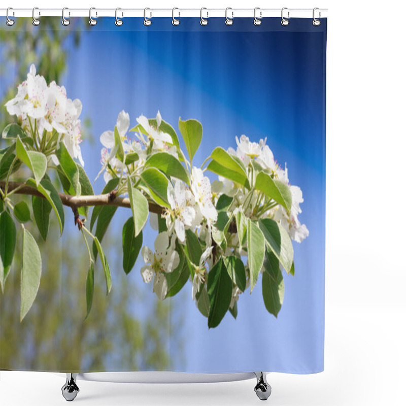 Personality  Branches Of A Blossoming Apple-tree Against The Blue Sky Shower Curtains