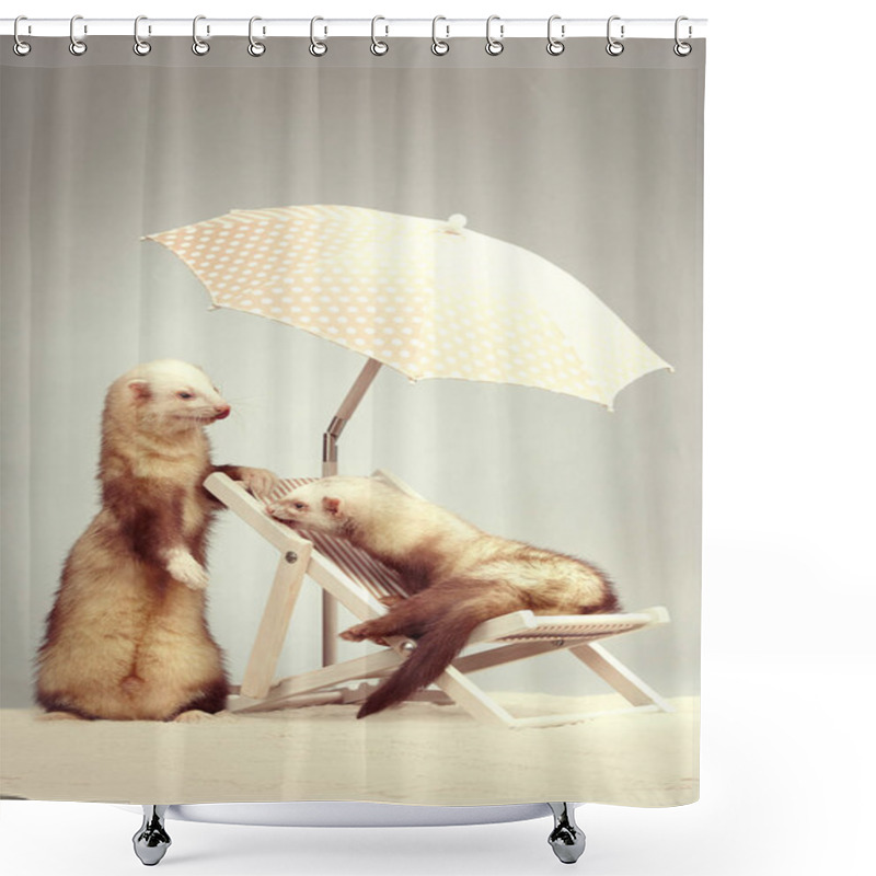 Personality  Two Lovely Ferrets On Beach Chair Shower Curtains