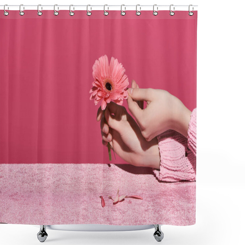 Personality  Cropped View Of Woman Picking Out Gerbera Petals On Velour Cloth Isolated On Pink, Girlish Concept  Shower Curtains