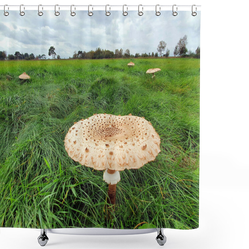 Personality  A Closeup Shot Of Wild Mushrooms Shower Curtains