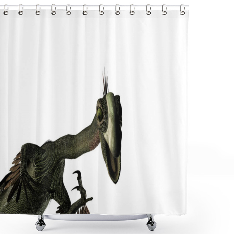 Personality  3d Illustration Of A Gigantoraptor Isolated On White Background Shower Curtains