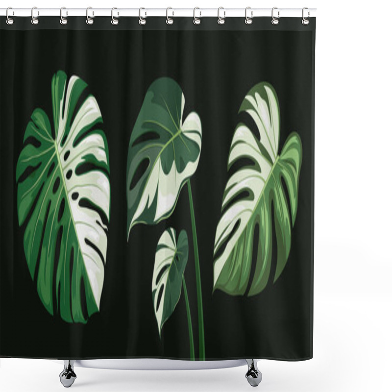 Personality  Monstera Leaves Spotted, Collections Design, On Black Background Eps 10 Vector Illustration Shower Curtains