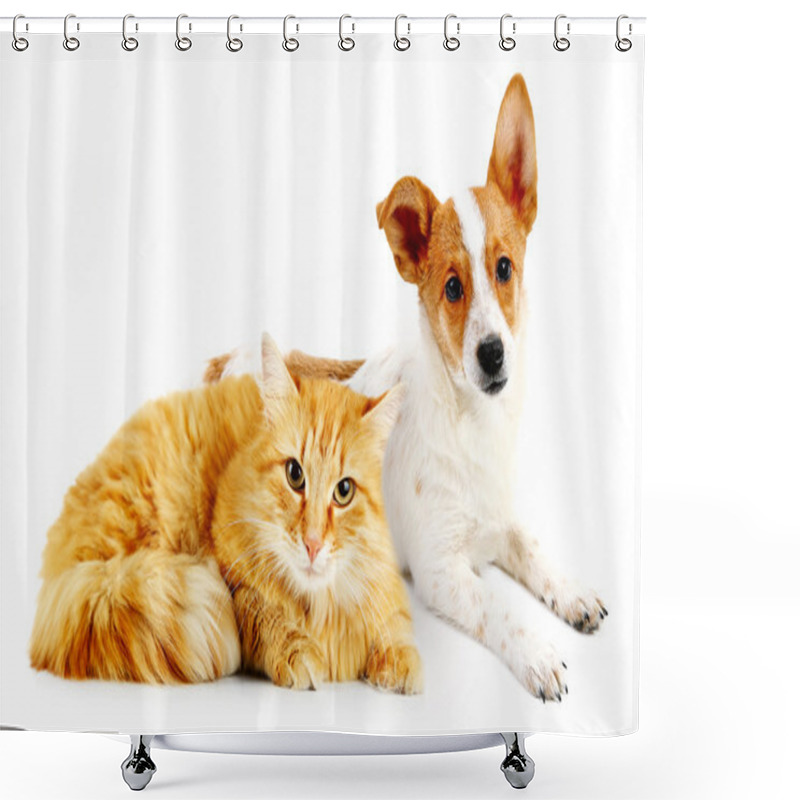 Personality  Cute Pets Isolated On White Shower Curtains