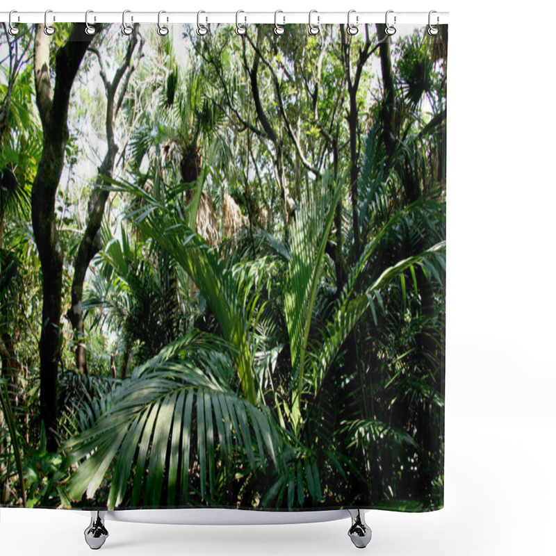 Personality  Jungle Foliage - Tokashiki Island, Okinawa, Japan Shower Curtains