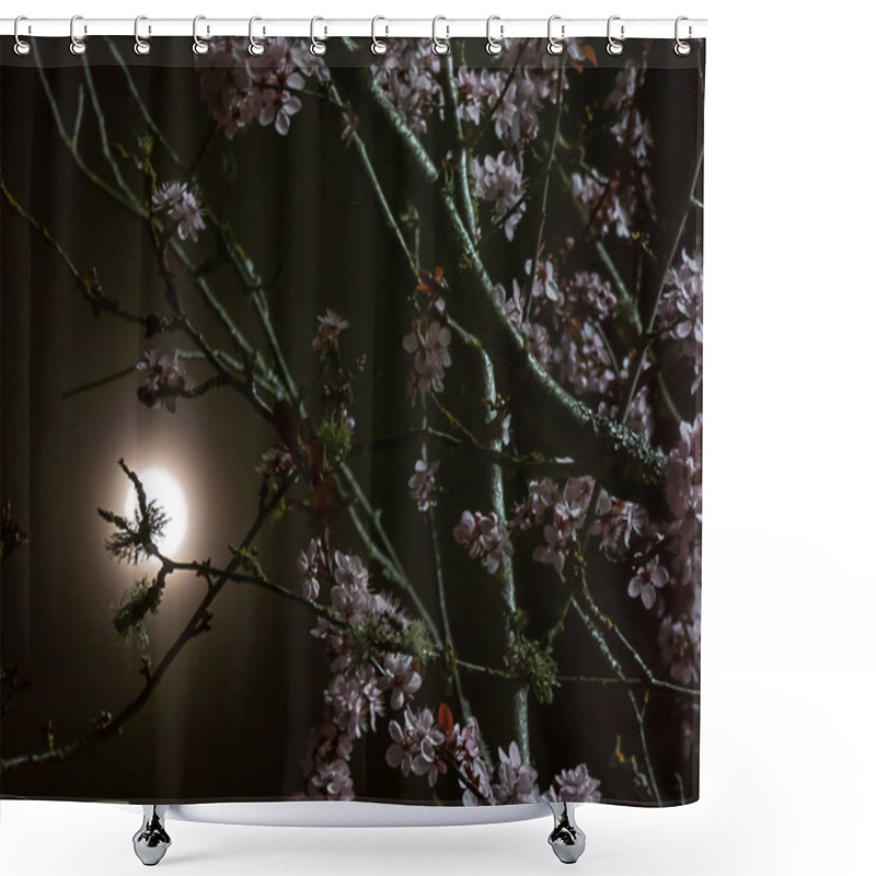 Personality  Dark Tree Branches With Pink Flowers In Front Of The Moon Shower Curtains