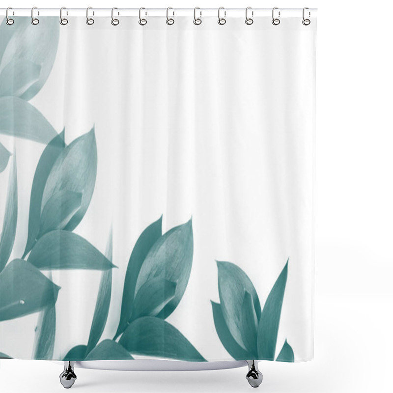 Personality  Turquoise Leaves On Twigs Isolated On White Shower Curtains