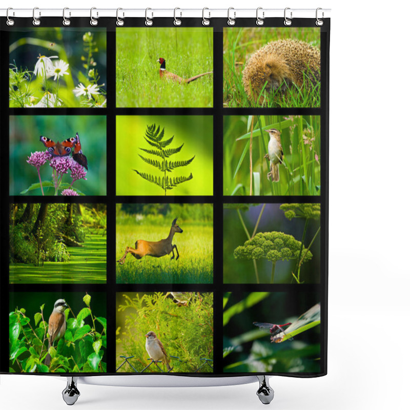 Personality  Wild Nature Shower Curtains