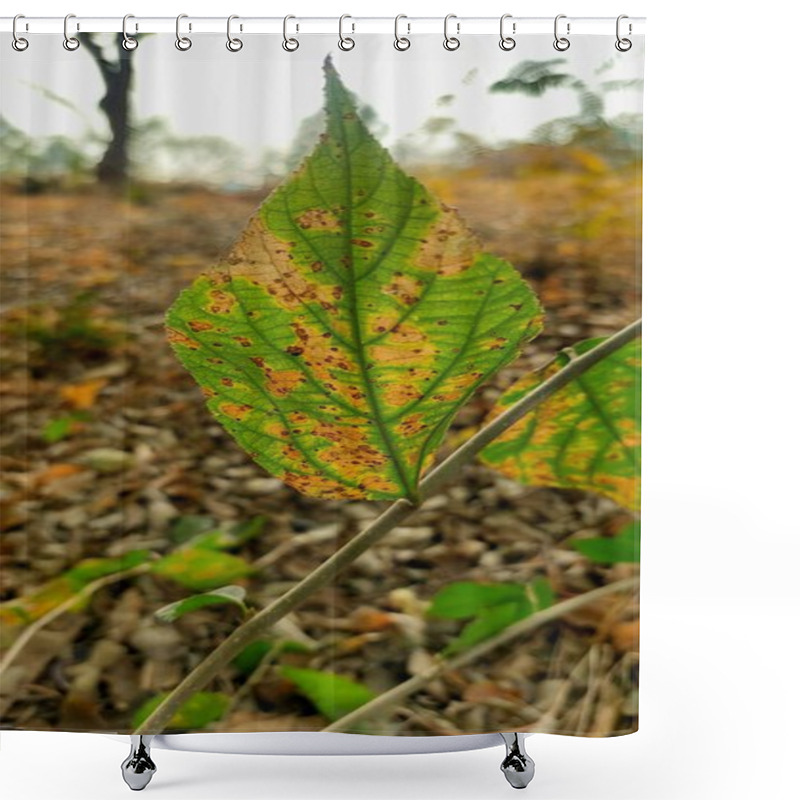 Personality  Rusts Are Fungal Infections That Appear As Distinct Patterns On Plant Leaves Shower Curtains