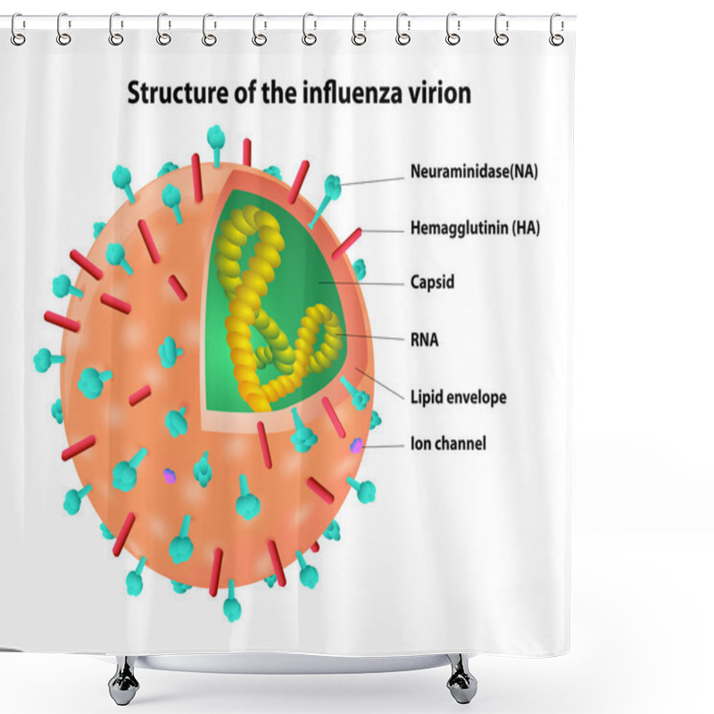 Personality  Structure Of The Influenza Virion. Virus. Vector Shower Curtains