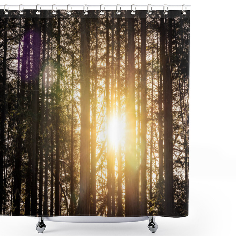 Personality  Beautiful Landscape Of Tree And Forest With Sun Light Shower Curtains