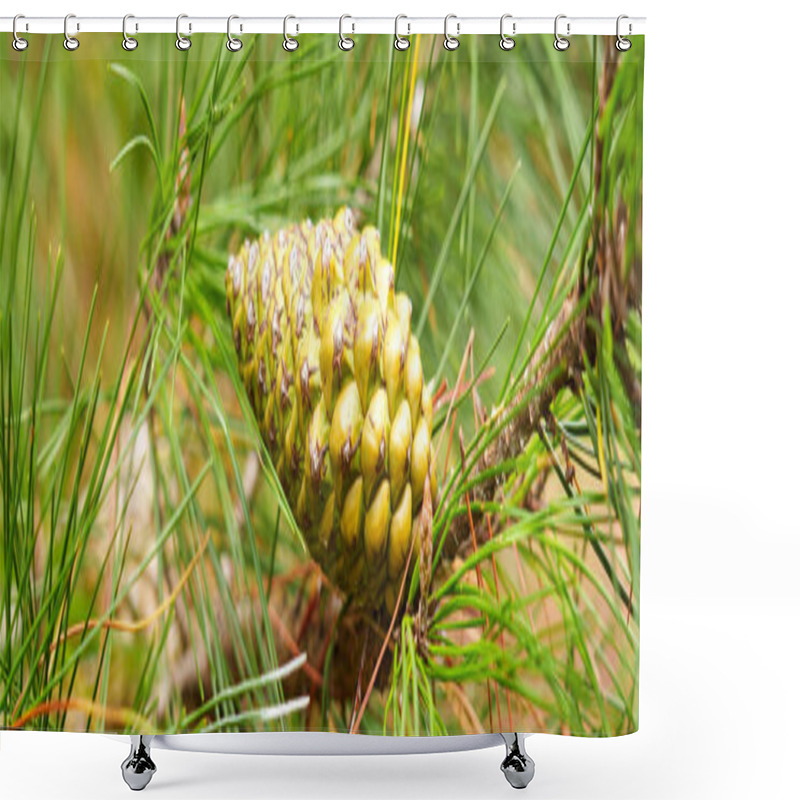 Personality  Close-up Of A Vibrant Green Pine Cone Nestled In Fresh Needles, Highlighting Natural Organic Growth. Perfect For Ecology And Nature Themes Shower Curtains