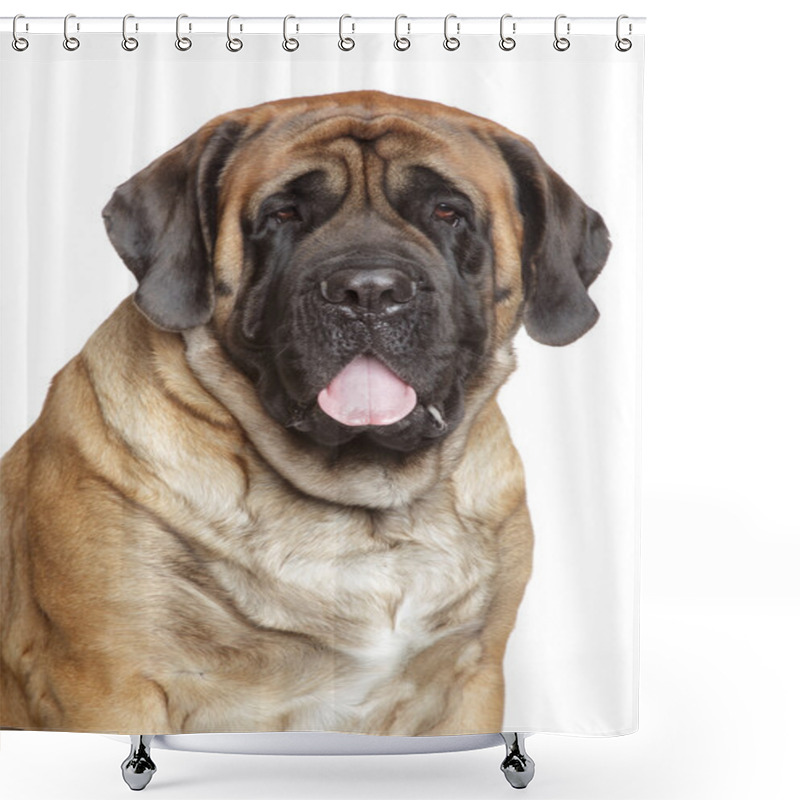 Personality  Portrait Of A English Mastiff Shower Curtains