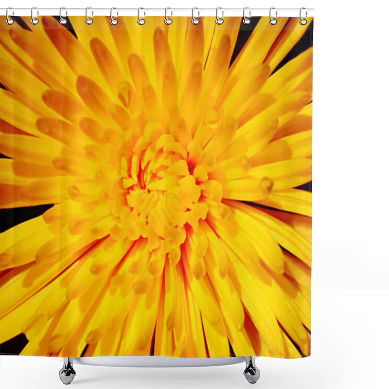 Personality  Beautiful Dahlia Shower Curtains